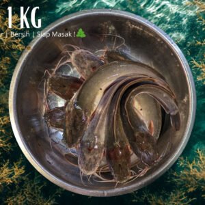 Lele Segar 1 Kg – Bersih dan Siap Masak!